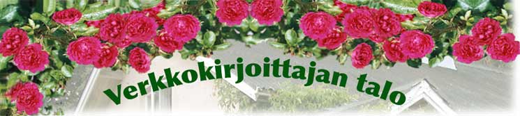 VERKKOKIRJOITTAJAN TALO